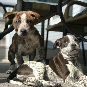 Meet your Posher, Cathi